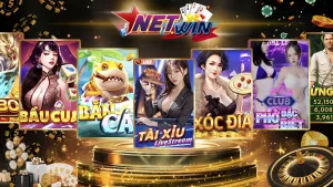 netwin banner